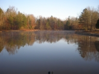Picture of a beautiful lake in Charlotte
